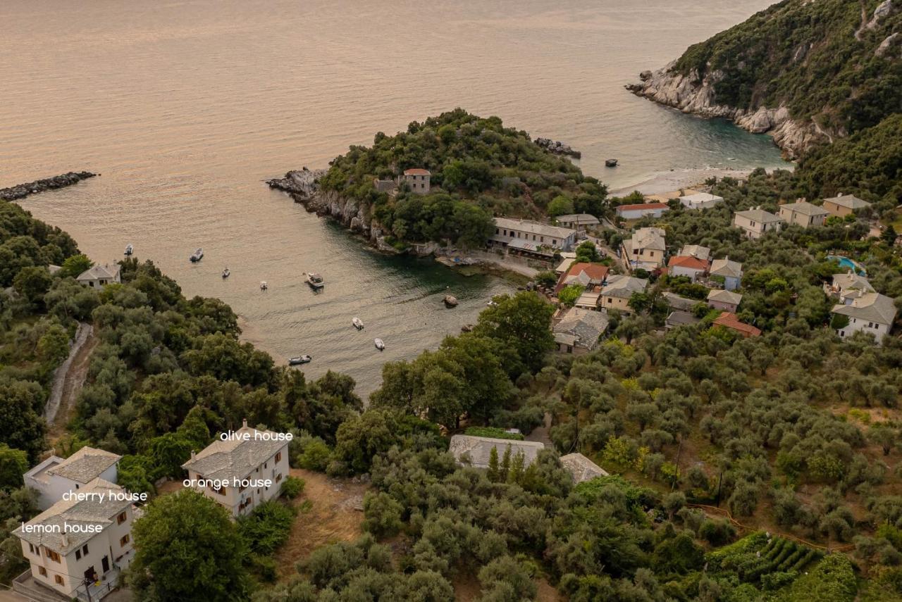 Olive House In Damouchari With A Sea View - Delicious Houses Eksteriør billede