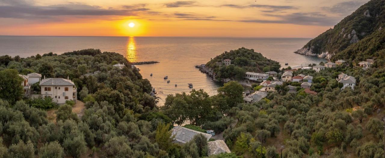 Olive House In Damouchari With A Sea View - Delicious Houses Eksteriør billede